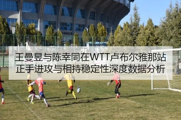 王曼昱与陈幸同在WTT卢布尔雅那站正手进攻与相持稳定性深度数据分析